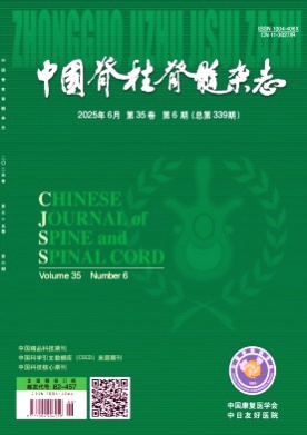 中国脊柱脊髓杂志杂志